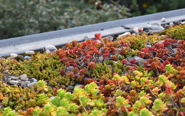 the cost of Boythorpe green roof installation