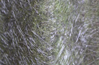 Boythorpe fibreglass roof work